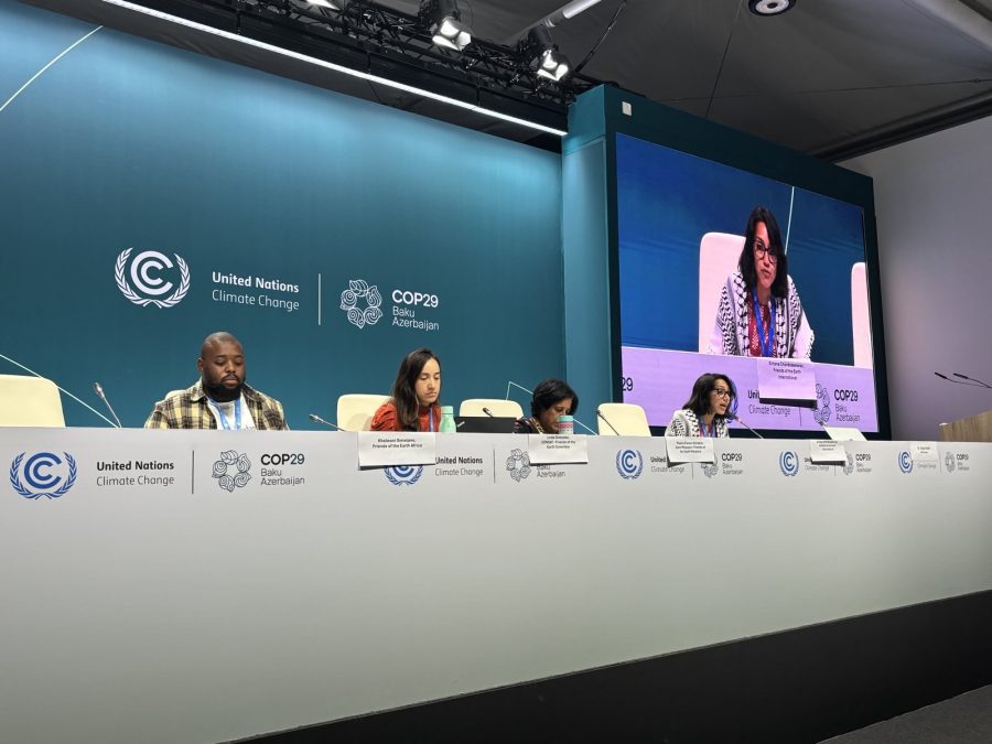 COP-29 PC Carbon Markets